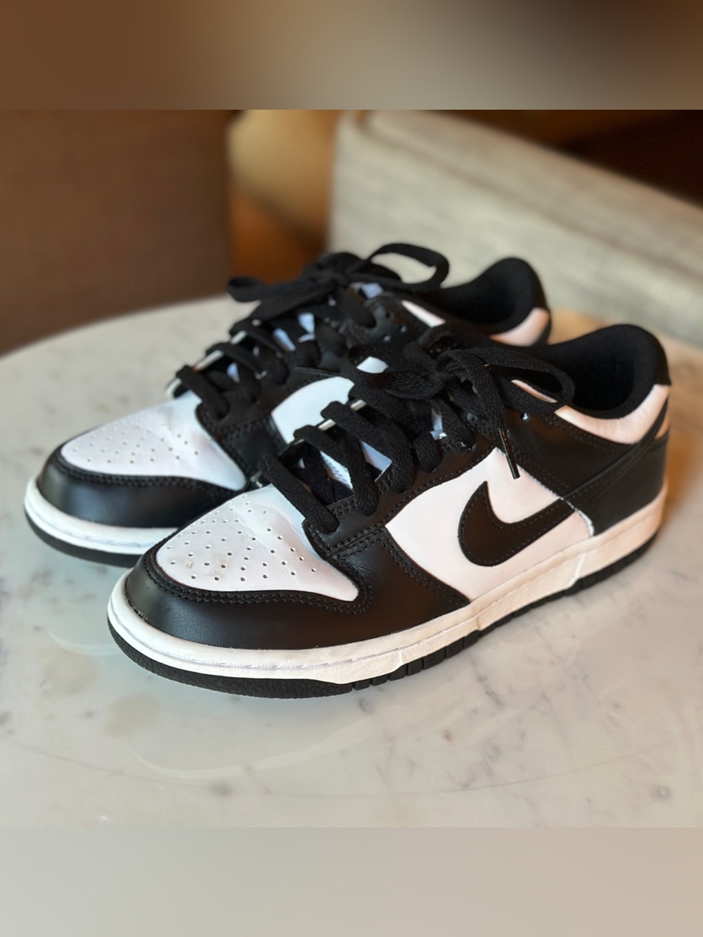 Nike Dunk Low Big Kid Kids Sneakers